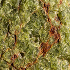 Olivine - 6 months